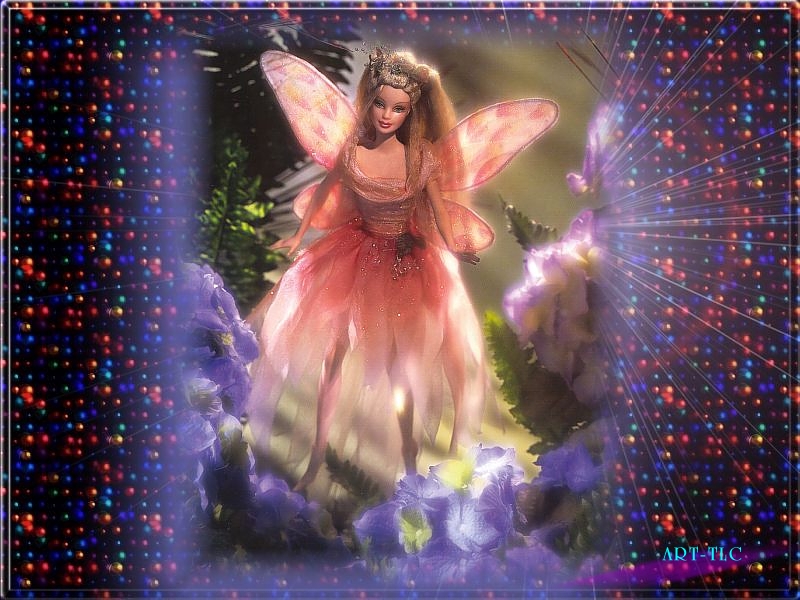 FAIRIES CHRISTMAS Free Screensavers Free Wallpapers Free Animated Wallpapers 