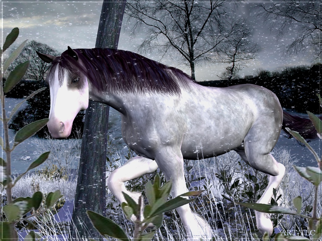 Free Wallpapers by ART-TLC, Wallpapers-TLC, Horses on Snowy Mountain 
